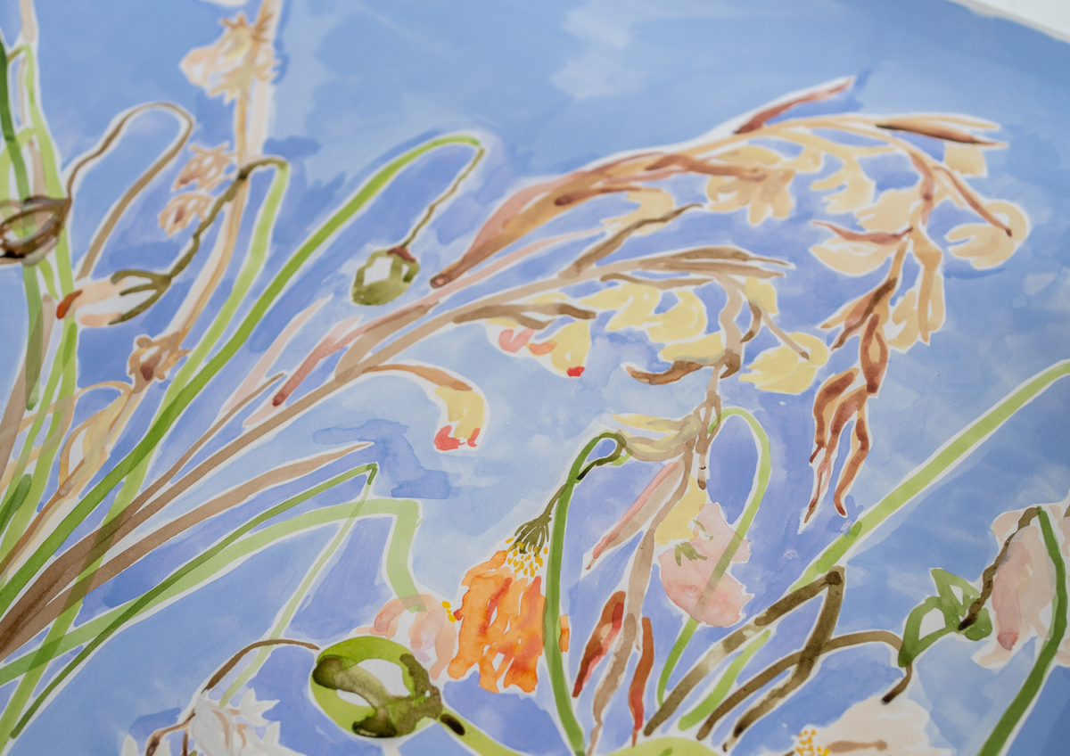 Meet our Artists │ Lucy Wayne │ May Collection │ Upcoming Female British Artists