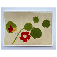 Nasturtium by Lucy Wayne