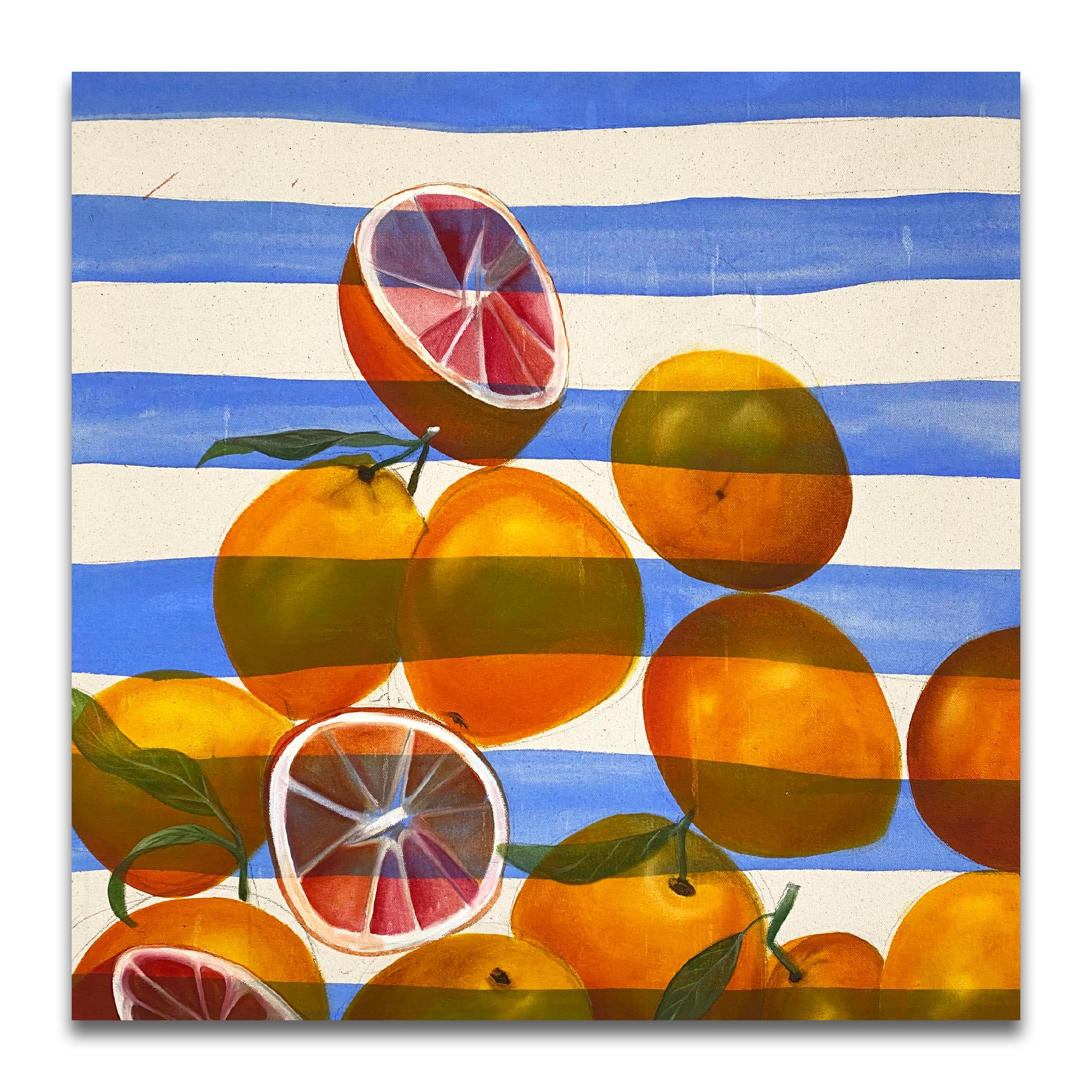 Oranges, 2023, Phoebe Boddy