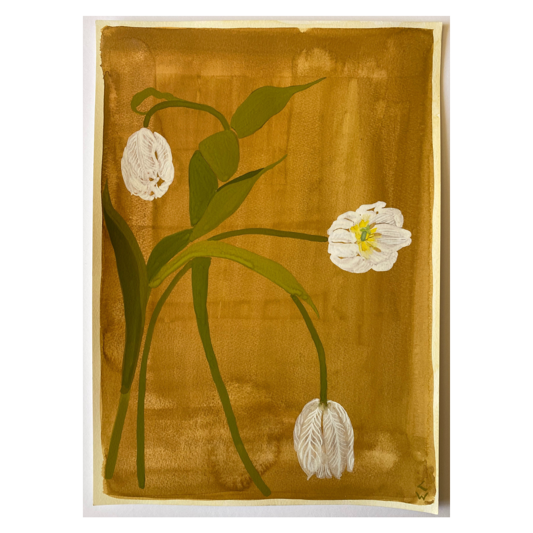 Terracotta Tulips, 2023, Lucy Wayne