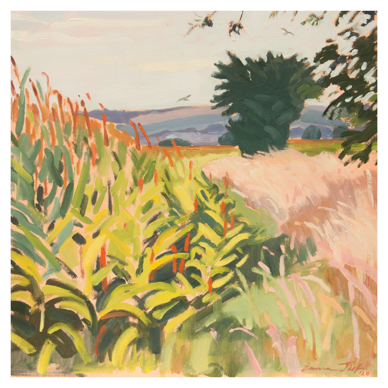 Late summer maize by Emma Jelf
